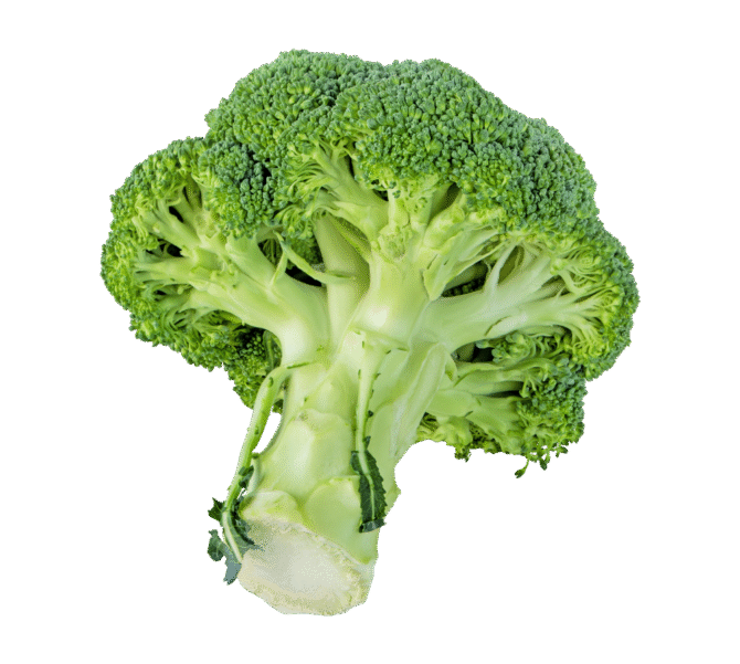 Broccoli