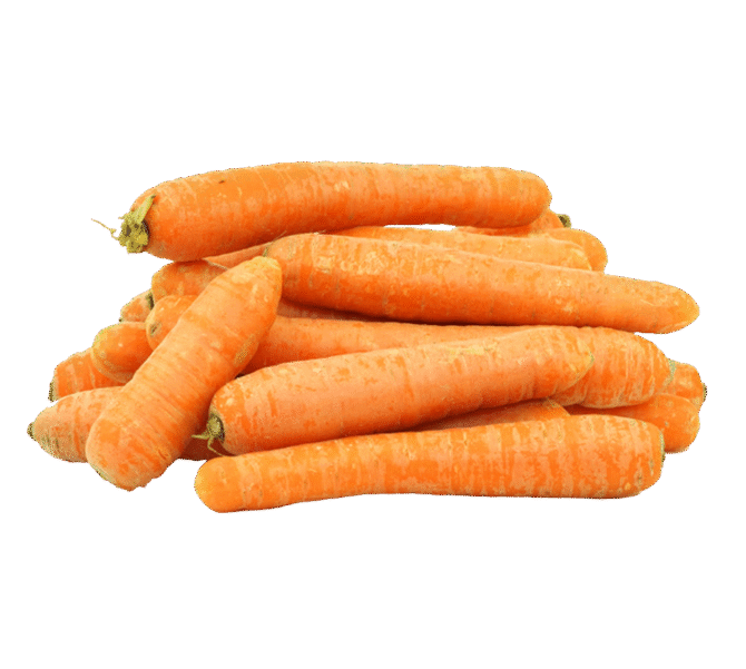 Carrot