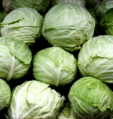 Cabbage - Lagos, 1 Piece