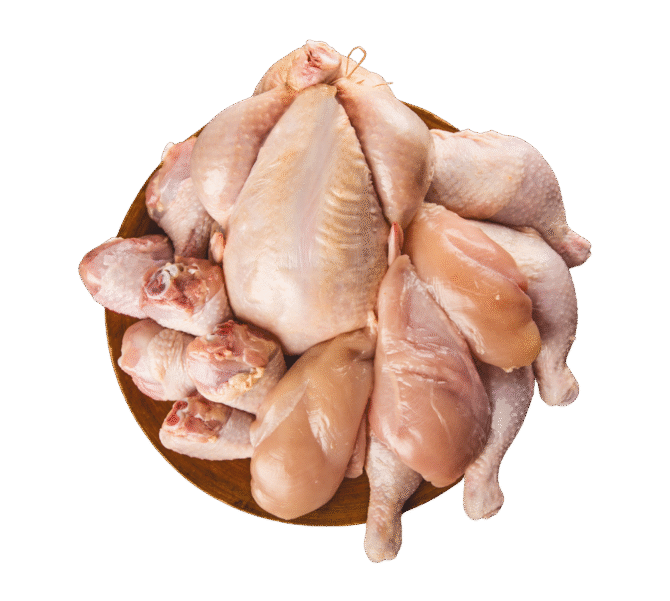 Chicken (Frozen/Live)