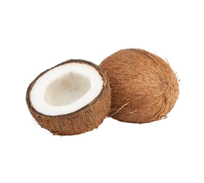 Coconut
