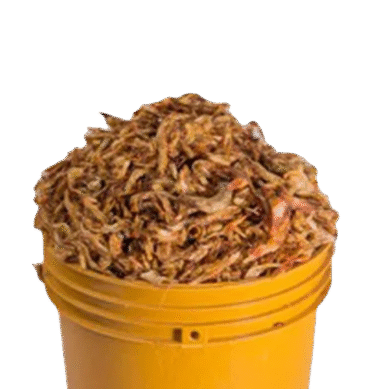 Crayfish - Lagos, 1 Cup