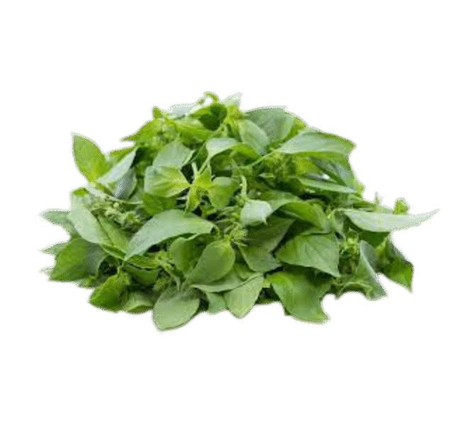 Curry Leaves