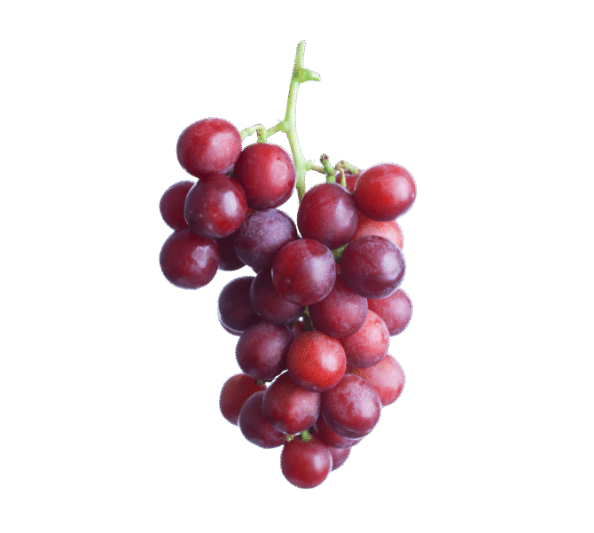 Grapes