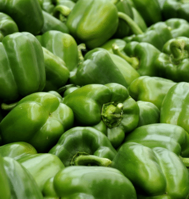Green Bell Pepper - Lagos, 3 Piece