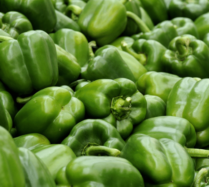 Green Bell Pepper