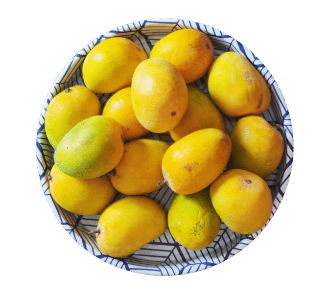 Mango