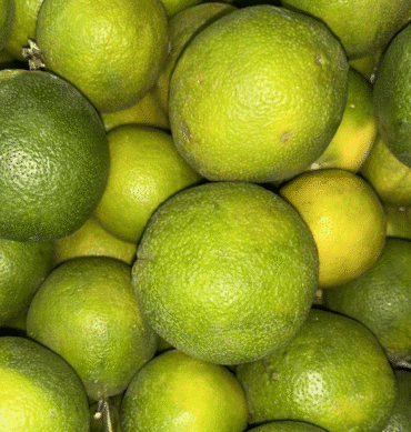 Oranges - Lagos, 5 Piece