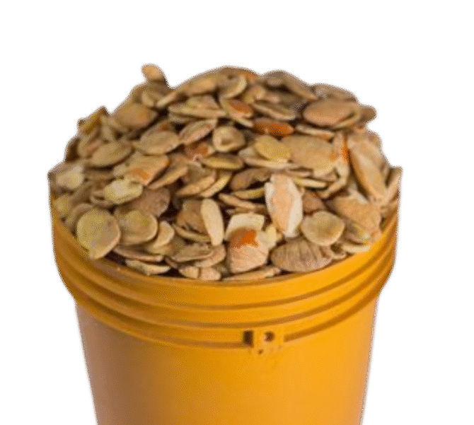 Ogbono (Wild Mango seeds)
