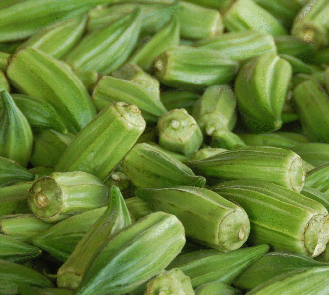 Okra