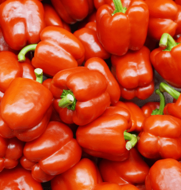 Red Bell Pepper - Lagos, 3 Piece