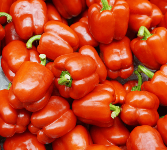 Red Bell Pepper