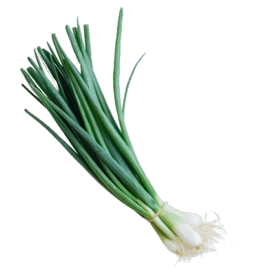 Spring Onions