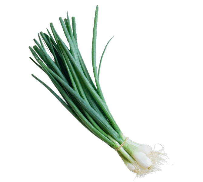 Spring Onions