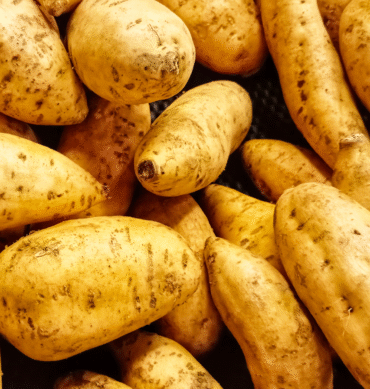 Sweet Potatoes (1 Paint) - Lagos