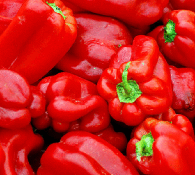 Tatashe Pepper (Atarodo)