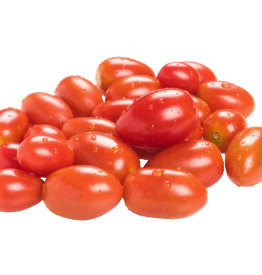 Fresh Tomatoes