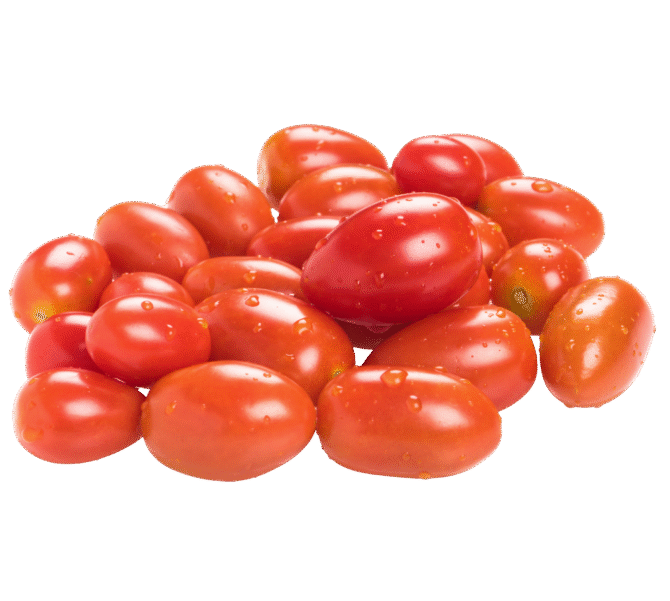 Fresh Tomatoes