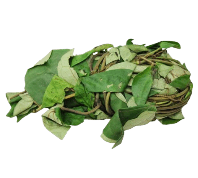 Uziza Leaves