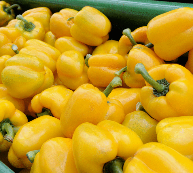 Yellow Bell Pepper