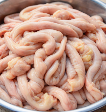 Intestine