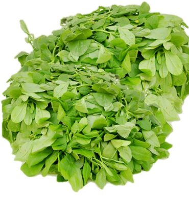 Water leaf