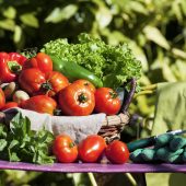 Some vegetables in a basket under sunlight
